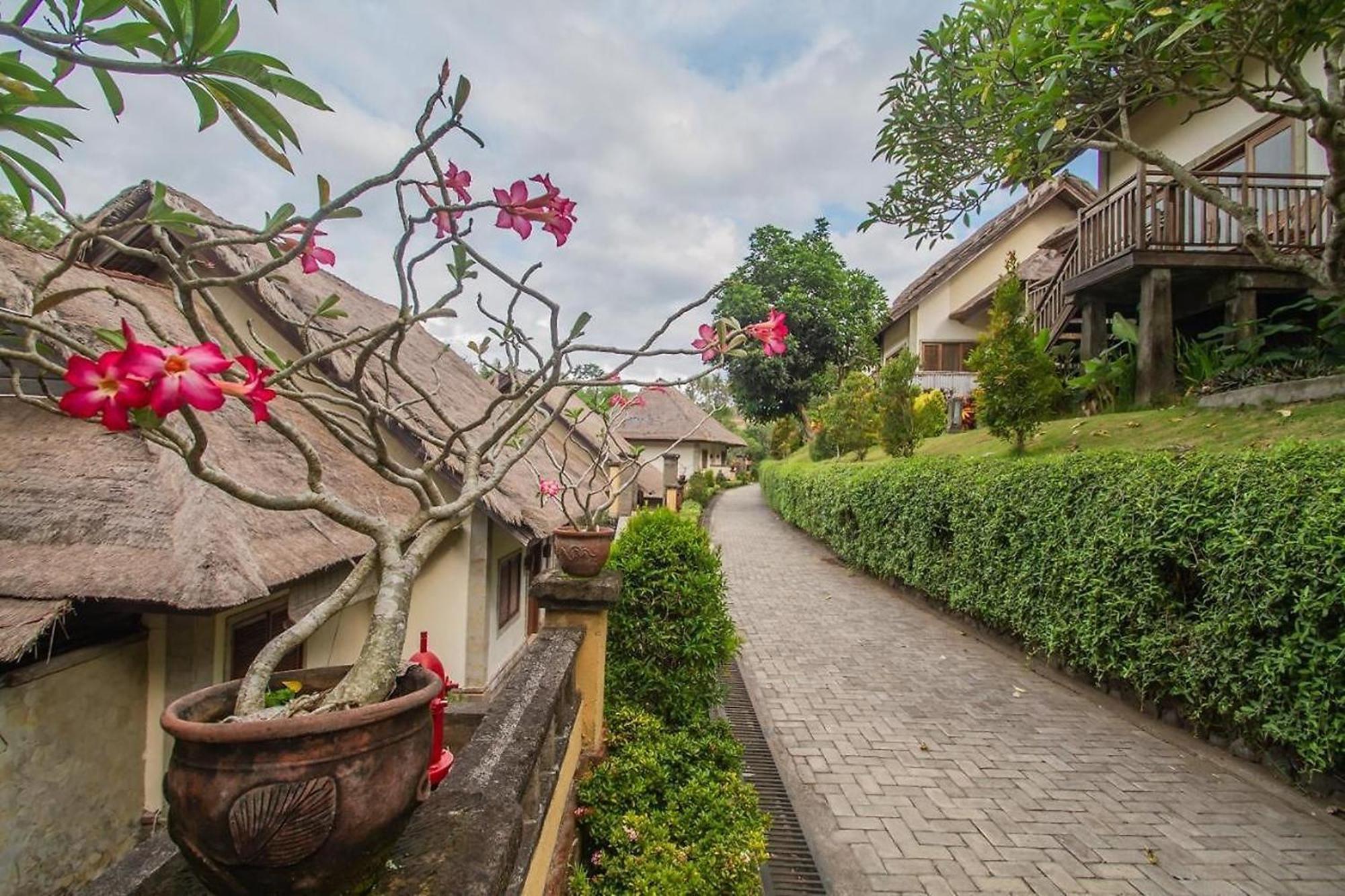 บาหลี มาซารี วิลลาส์ แอนด์ สปา Villa BALI ภายนอก รูปภาพ
